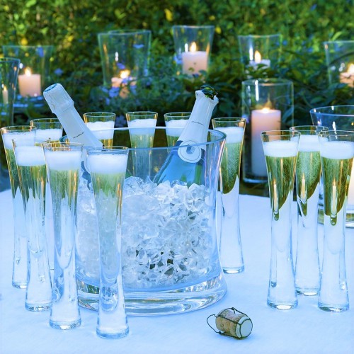 Набор для шампанского ведро и бокалы LSA Moya прозрачные 170мл х12