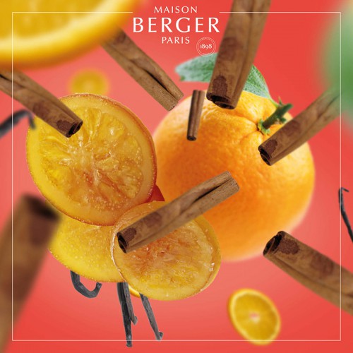 Рефил для лампы Maison Berger Апельсин и корица 500мл