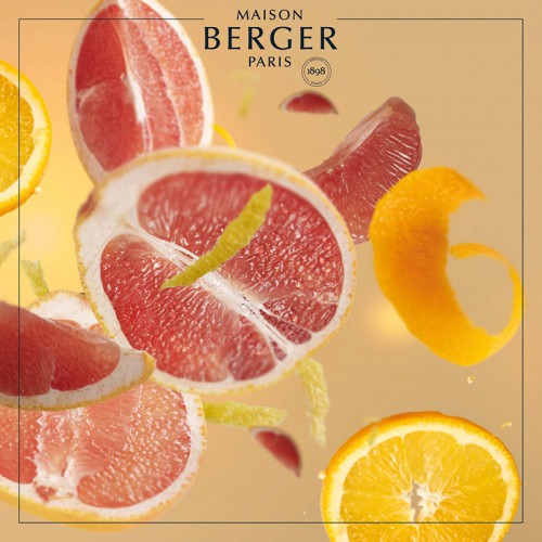 Рефіл для лампи Maison Berger Пристрасть грейпфрута 500мл