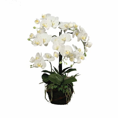 Искусственный вазон ZELENA Орхидея Фреш в грунте кремовая В77