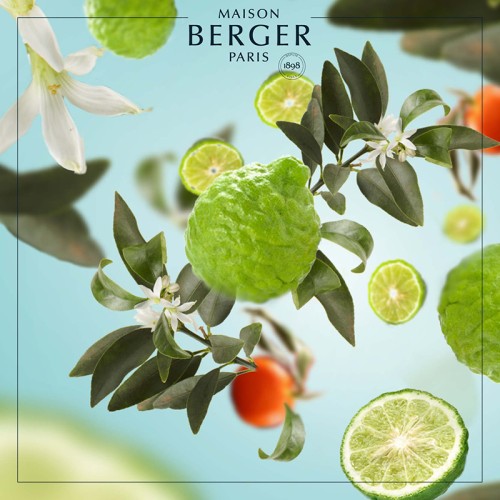 Рефіл для лампи Maison Berger Бергамот 1л