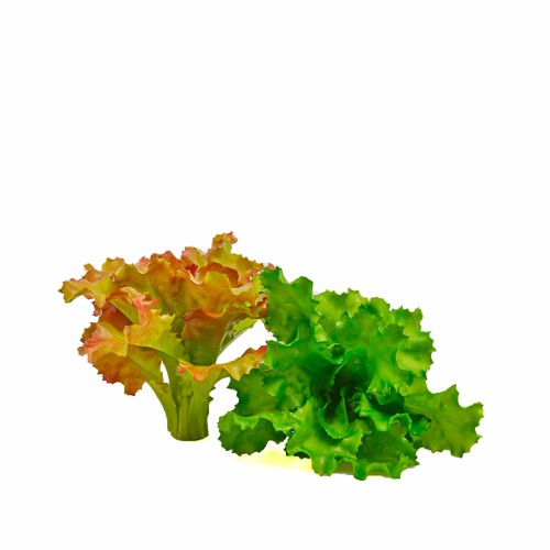 Штучні овочі Салат латук EDG В13 а2