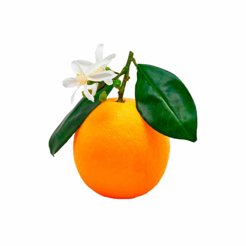 Искусственные фрукты EDG Апельсин Д13