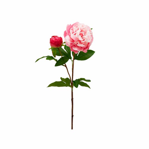 Искусственные цветы EDG Пион розовый  В70