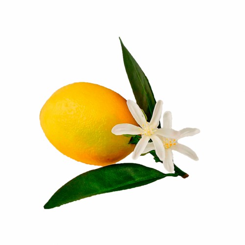 Искусственные фрукты EDG Лимон Д12
