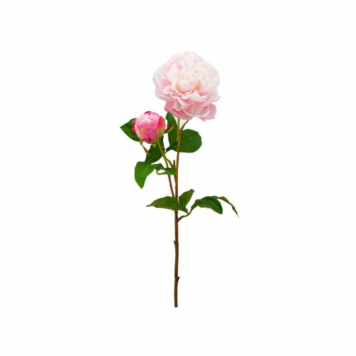 Искусственные цветы EDG Пион бело-розовый В70