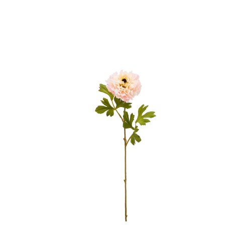 Штучні квіти EDG Ранункулюс пікоті пудрово-рожевий В60