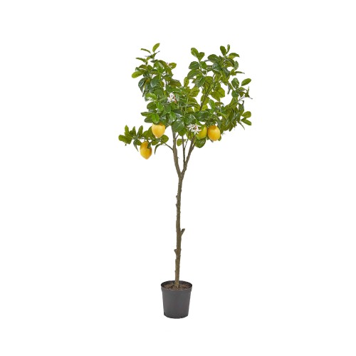 Искусственный вазон EDG Лимонное дерево В138