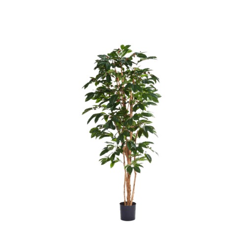 Искусственный вазон ZELENA Кофейное дерево В150