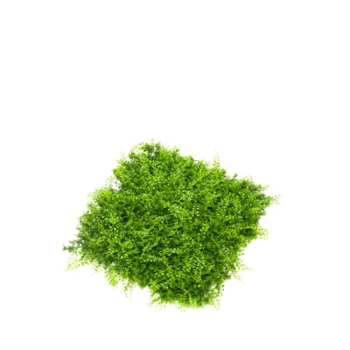 Зеленая стена ZELENA Искусственные растения Лесная стена 50x50