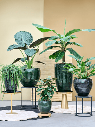 Горшок для цветов ZELENA Emperor Forest 30х49