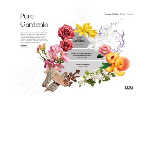 Спрей для дома EDG Pure gardenia 100мл