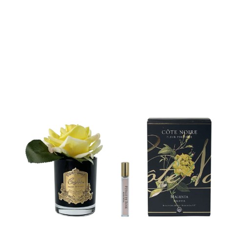 Аромадиффузор Cote Noire Flower Французская роза желтая в черной вазе