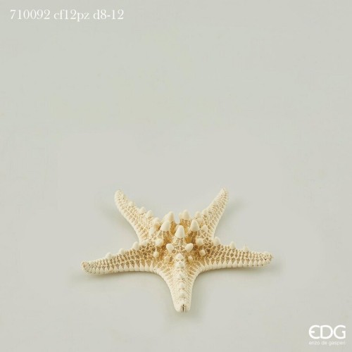 Морська зірка EDG Д8-12