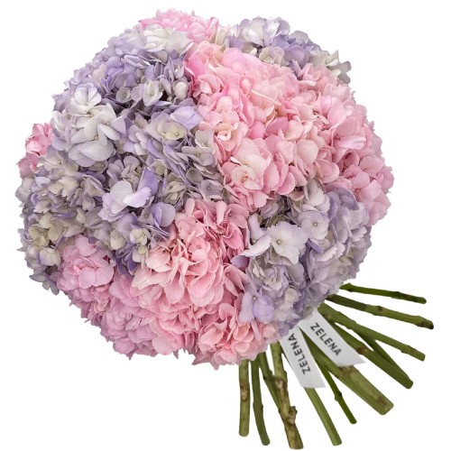 Букет гортензий Валантин