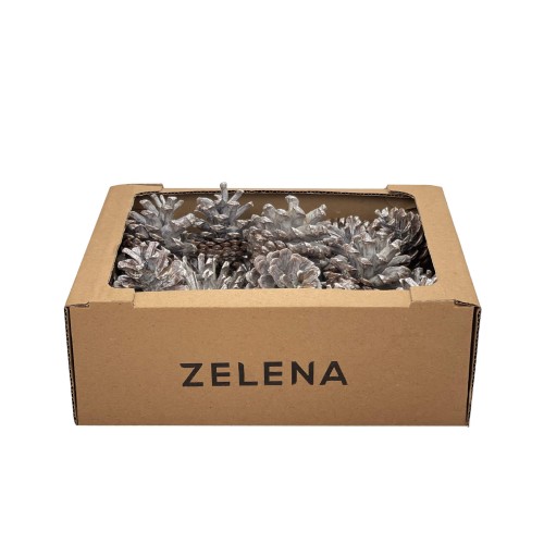 Шишки сосновые ZELENA набор серебрянние