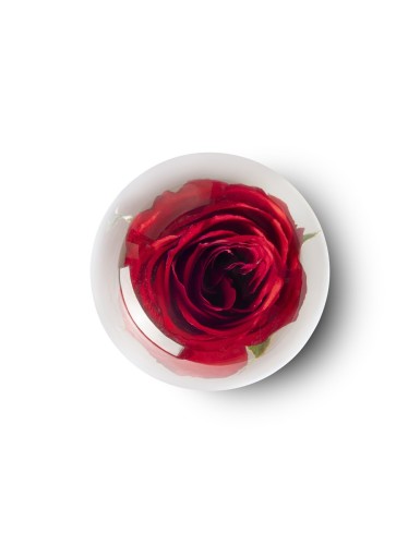 Статуэтка Abhika Роза красная В8