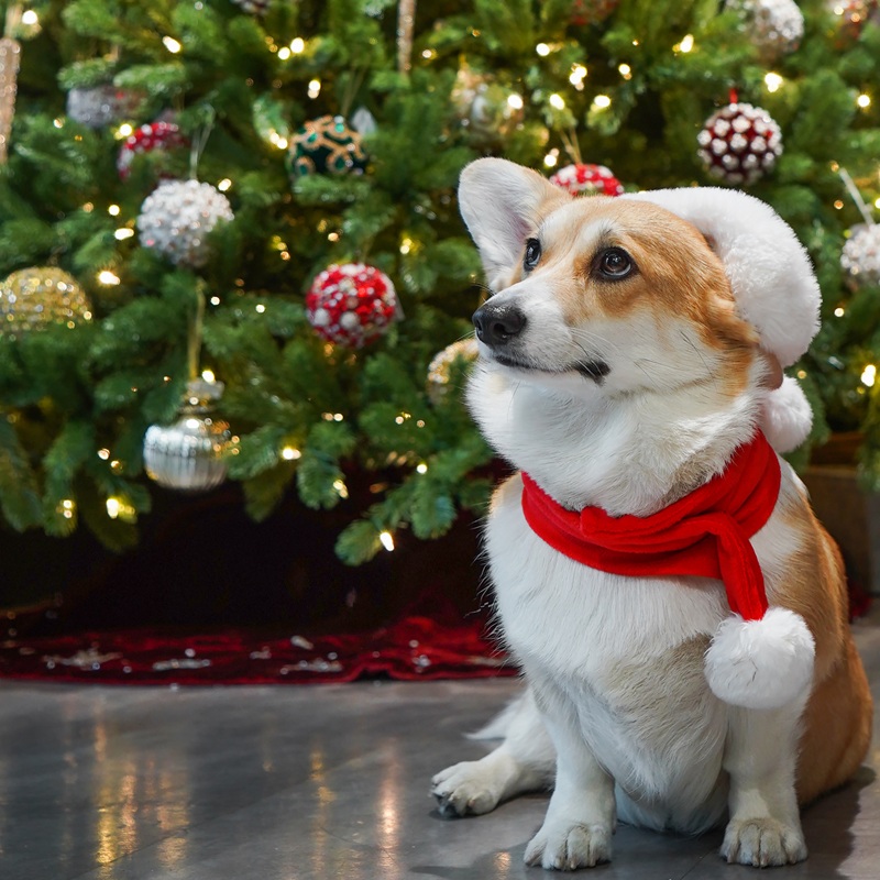 Новорічний декор