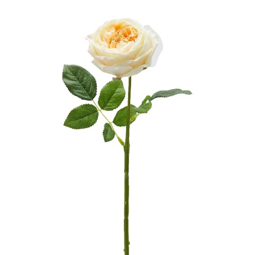 Искусственные цветы EDG Роза кремовая В45