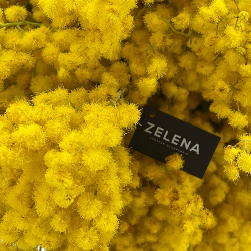 Мимоза букет Тасмания