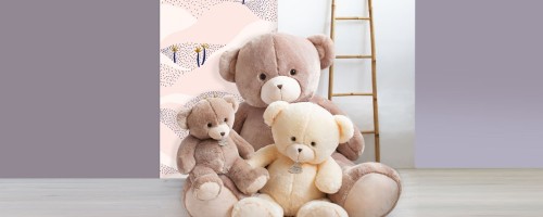 HISTOIRE D'OURS