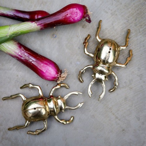 Солонка и перечница Culinary Concepts Жук-олень Д11 х2