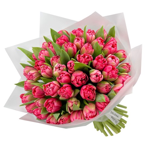 Пионовидные тюльпаны Девон