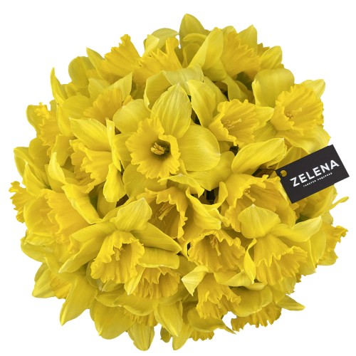 Букет нарциссов Солей