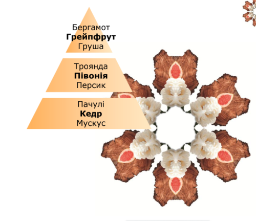 Рефил для аромадиффузора Maison Berger Сладость грейпфрута 200мл