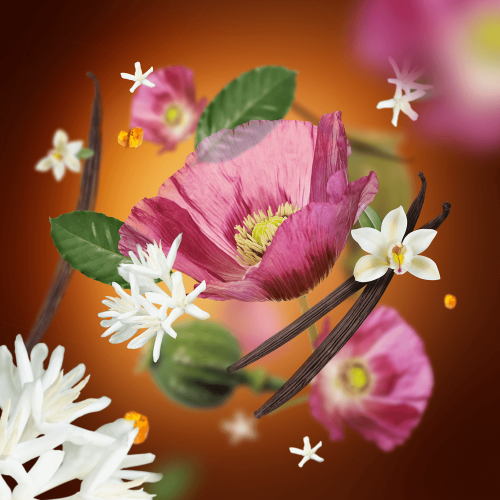 Аромадиффузор Maison Berger Variation серая Восточный бархат 200мл