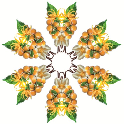 Рефил для лампы Maison Berger Солнечный фрукт 500мл