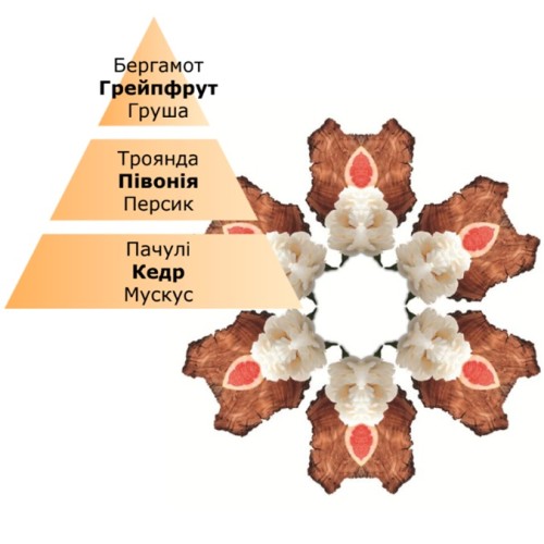 Рефіл для лампи Maison Berger Солодкість грейпфрута 500мл