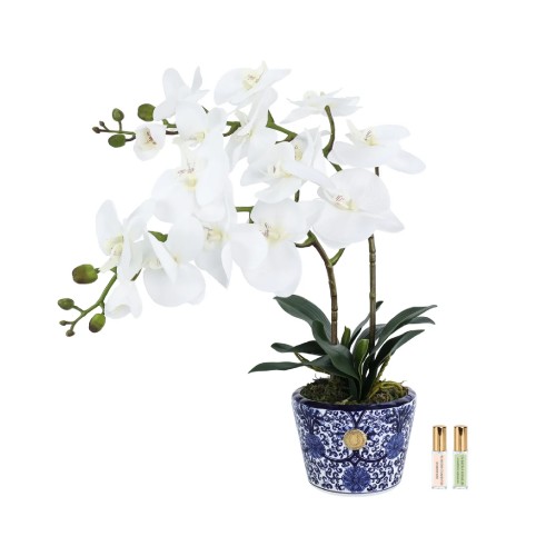 Аромадиффузор Cote Noire Double Орхидея Oriental Шинуазри в горшке белая
