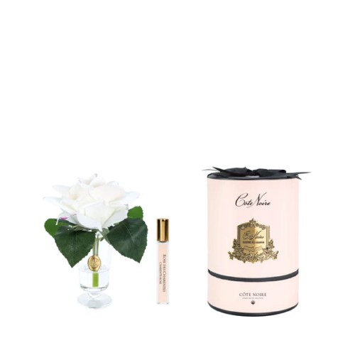 Аромадиффузор Cote Noire Flower Шарантская роза румянец 1 парфюм