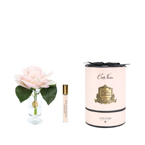 Аромадиффузор Cote Noire Flower Шарантская роза шампанско-розовый 1 парфюм