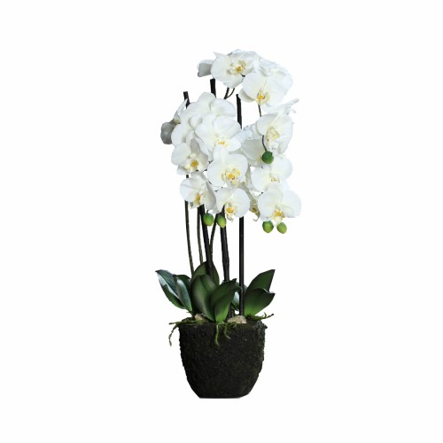 Искусственный вазон ZELENA Орхидея Фреш в грунте кремовая В55