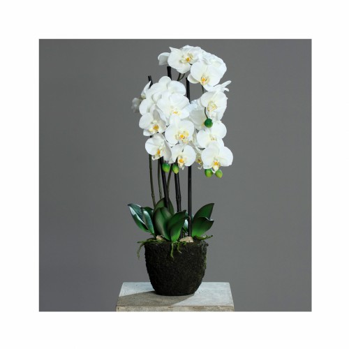 Искусственный вазон ZELENA Орхидея Фреш в грунте кремовая В55